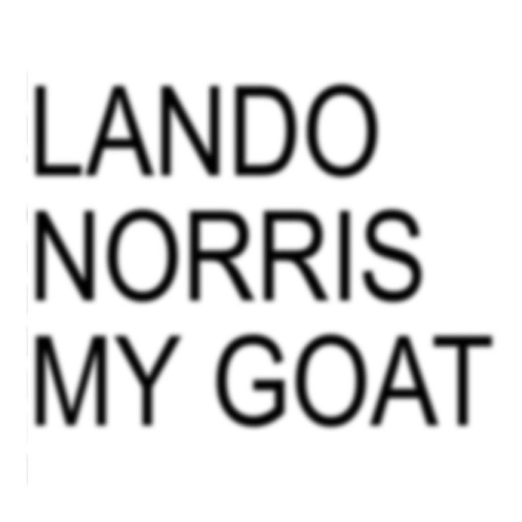 lnfourss's tweet image. THE DOUBLE OVERTAKE????? LANDO NORRIS YOU ROCK MY WORLD