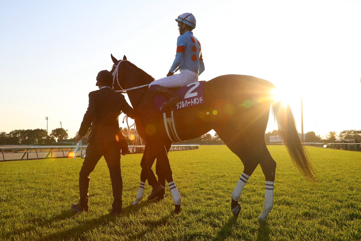 Chakra 🏇🏇&☗☖ (@ChakraNoah) / Posts / X