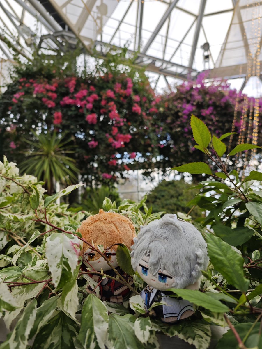 japan trip........🥰