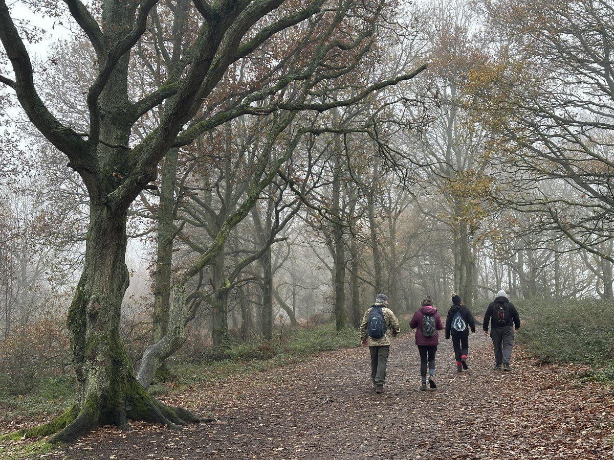 ManelRoura's tweet photo. My walk this morning, a 4.5 mile circular walk at #KinverEdge with good friends. #Staffordshire https://t.co/EcnRiXZtRd