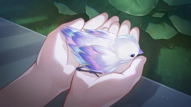 ✨ Cipher's girl failure ✨ tweet media