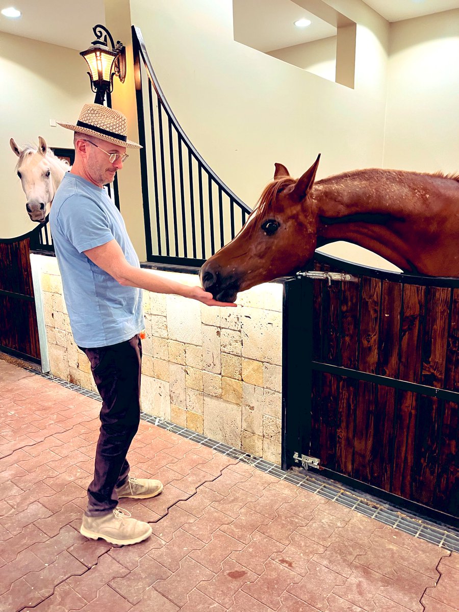 مرشد /مترجم-حيدر بوعبيد tweet media