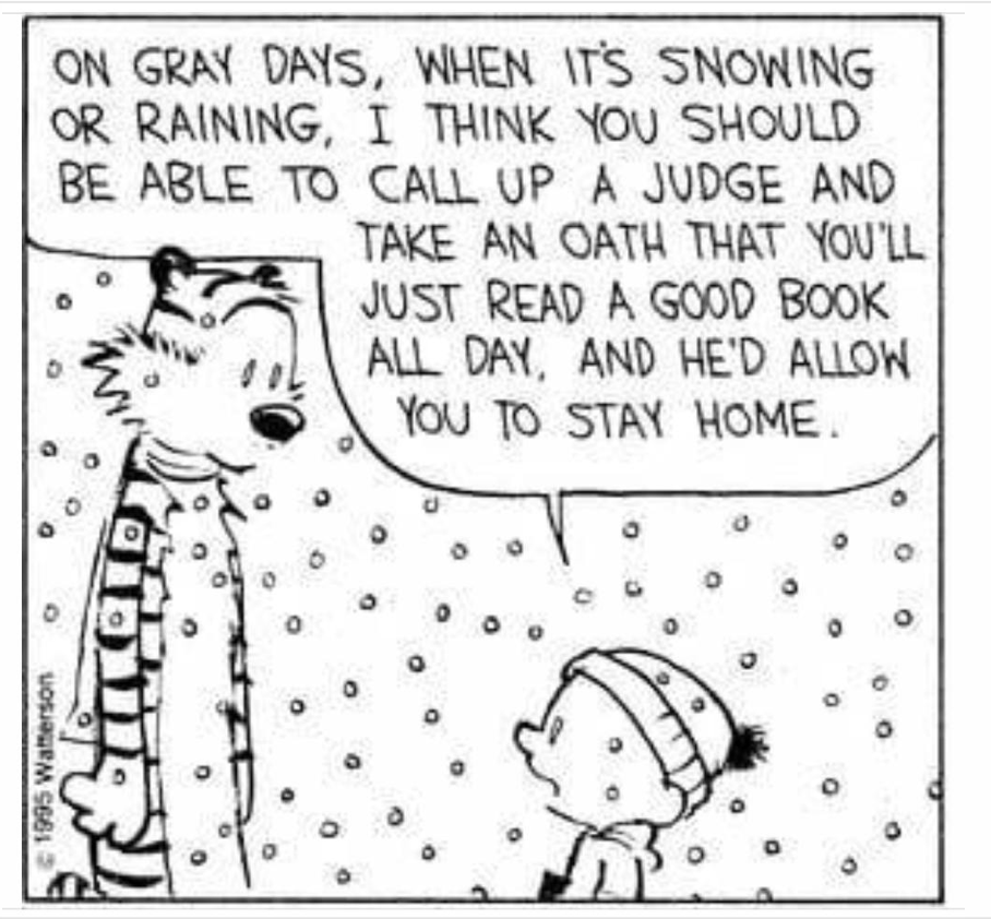 William Rudd tweet media