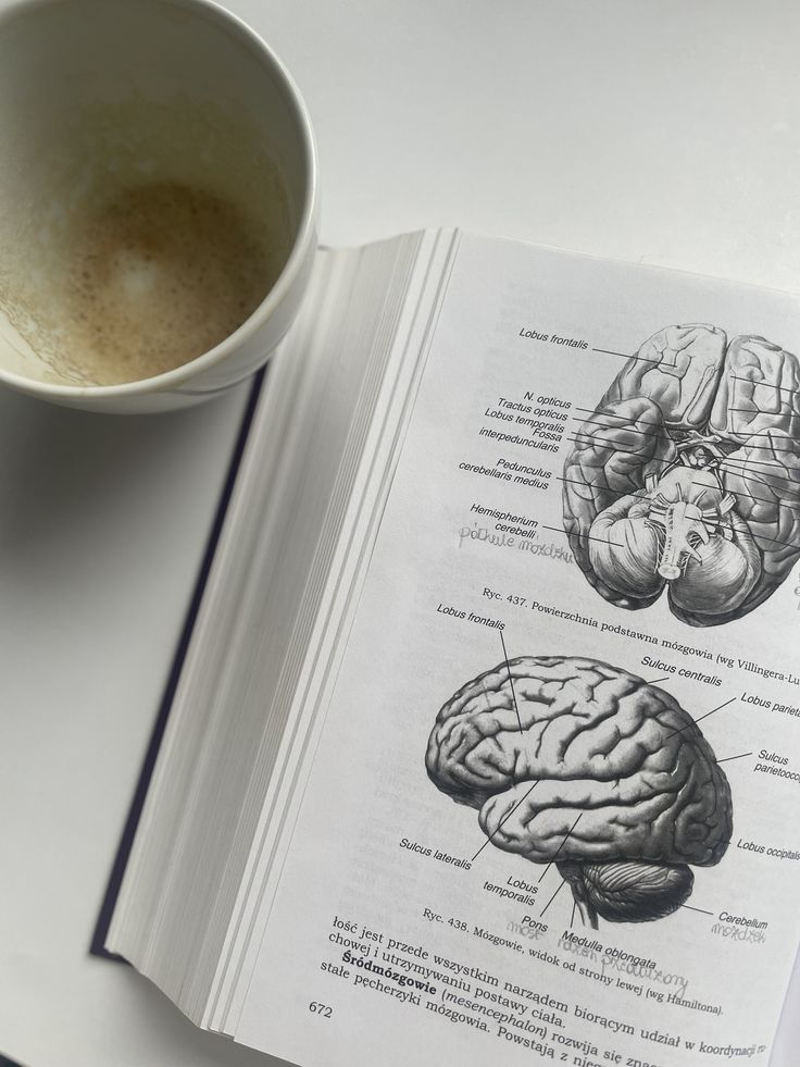 homework_help6's tweet image. Need help with 

Affordable  classes
Probability
Pay My matlab
My Pearson
E-campus
Social science
Homework
Music analysis 
assignment help
College
Geometry
Trigonometry
Business
Canvas
Online, college classes
Anatomy
Mathxl 
Practice exercise 

DM/WhatsApp +1 (985) 328-2291