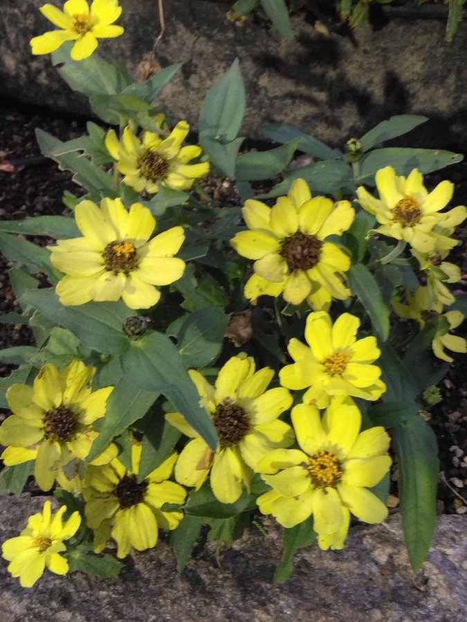 \[V}KWwRXfBAhbgR!!x:ŐV𐏎XV!!