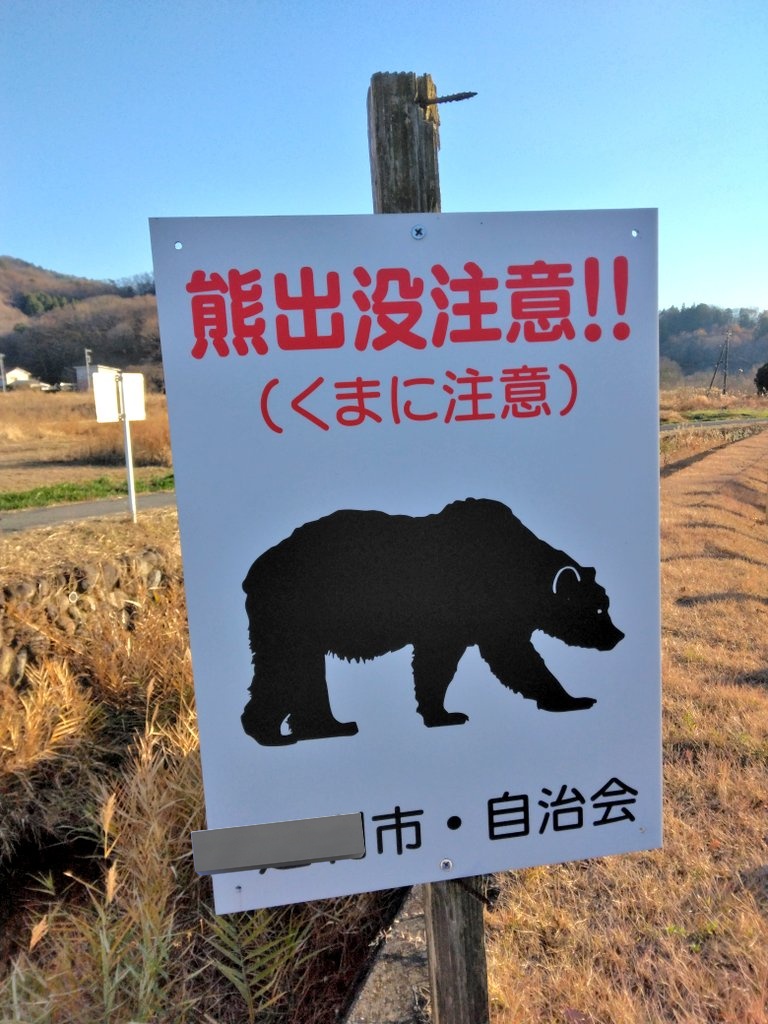 ☆くまのみ様確認用☆ よく家から2時間くらいの、ちょこっとドライブをするんだけど