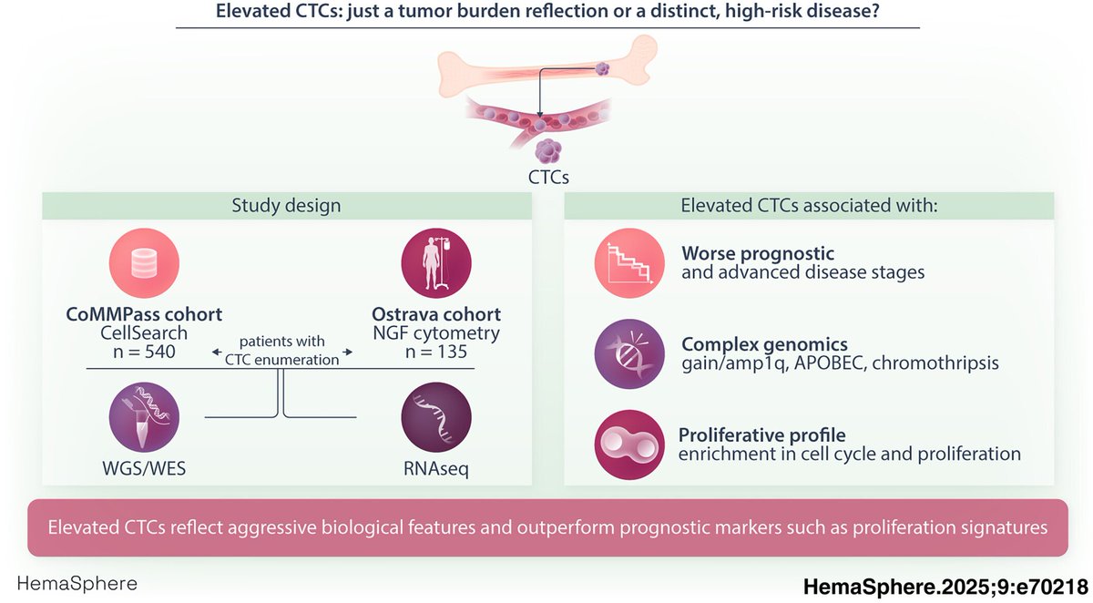 mtmdphd's tweet photo. Elevated circulating tumor cells [#cactc] reflect high proliferation and genomic complexity in multiple myeloma [Sep 23, 2025] Garces et al. @Hemasphere_EHA https://t.co/R8ehW89gTn #mmsm #cagenome https://t.co/I2EsAXuqhg