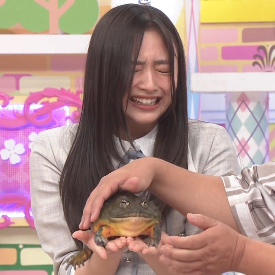 乃木坂ファン　引退品