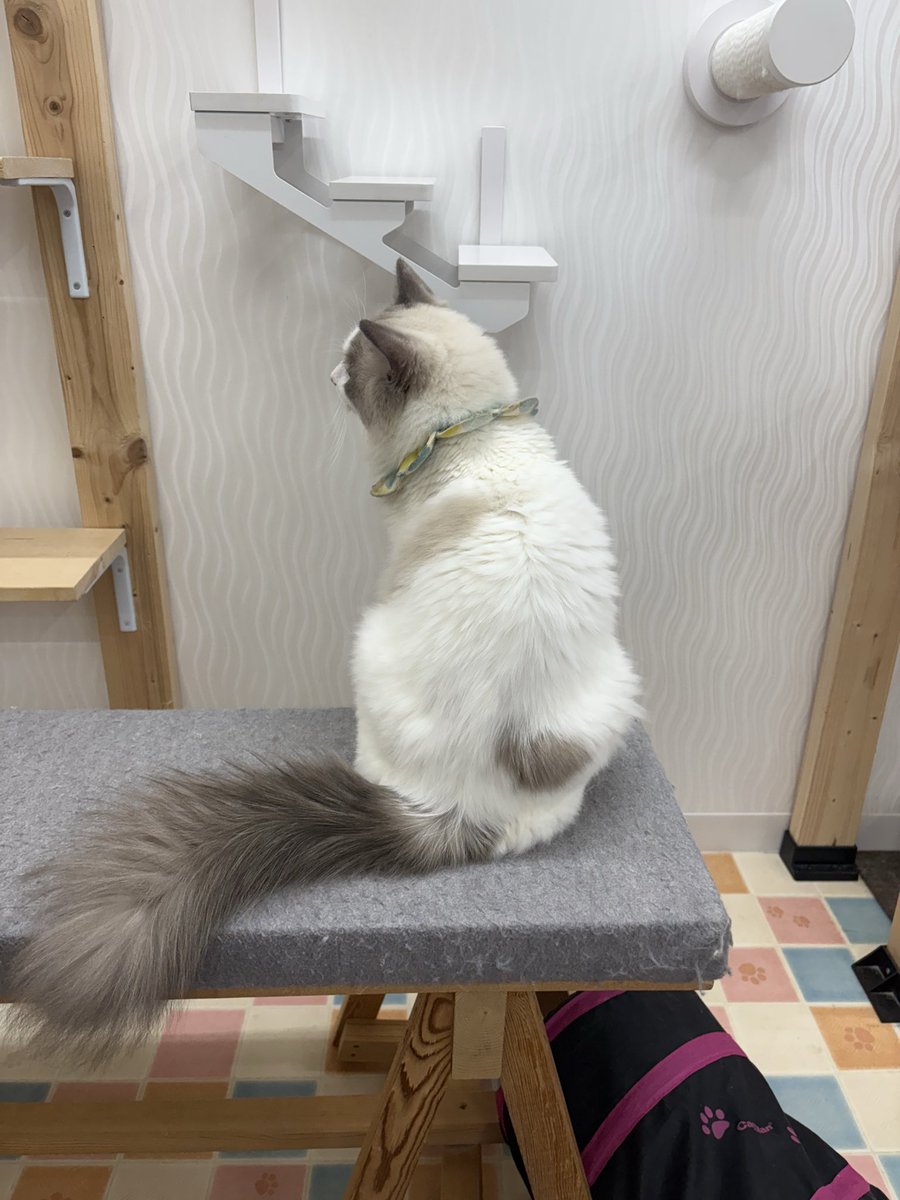 やま様❤️おまとめ専用ページたです。1/15まで♡ アマネ@12/30東6オ52b (@amanemari) / Posts / X