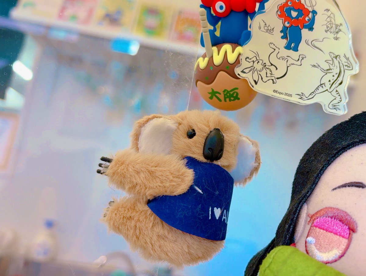 ふわふわコアラがNAMAスタに仲間入り🐨 NAMAスタは皆さんがくれる