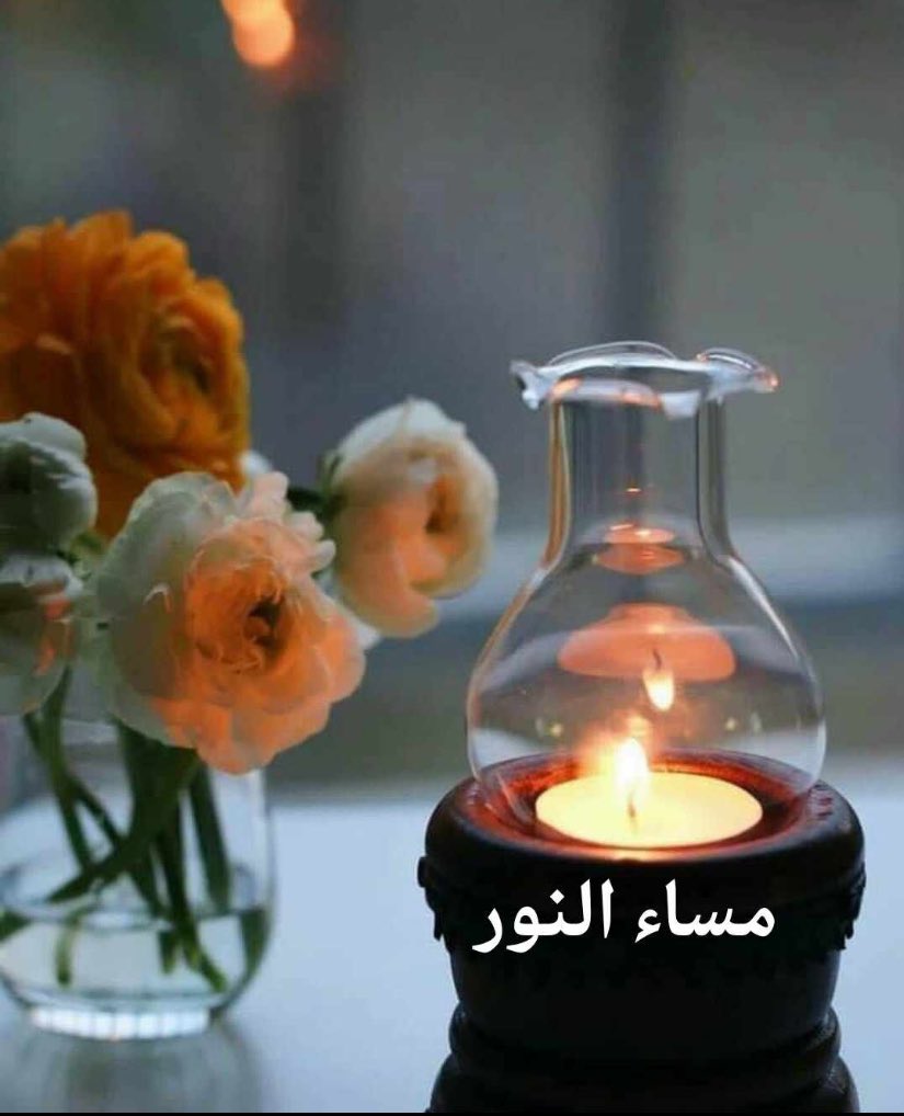 Took___'s tweet image. مساء هـادئ لمن يطيب بهم المسـاء 
ولِمن أدمنتُ وجودهم بين تفاصيل حرفي
مساء الخير أنتم ومسائي بكم يحلو …🌺
.
.
السلام 🤚