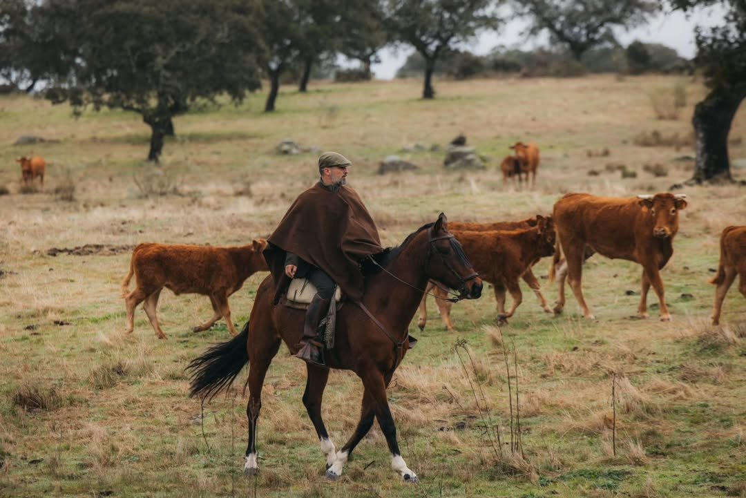 RECONQUISTA 🇪🇸 
<a href="/Santi_ABASCAL/">Santiago Abascal 🇪🇸</a>