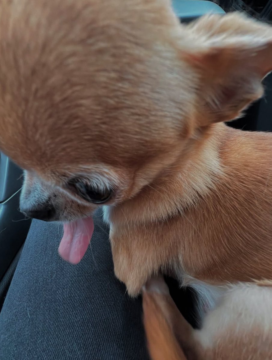 The Forest VT (Commisions Open) tweet media