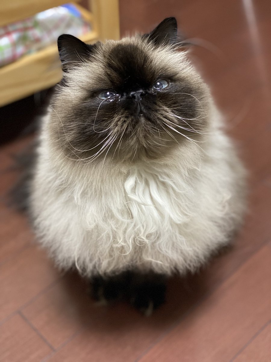 むぎ (@Mugi_is_No1) / Posts / X