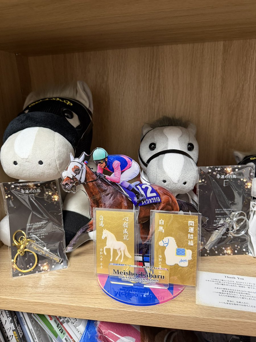 RickCaine's tweet photo. 💙🤍
#アオラキ
#ゴールドシップ産駒 https://t.co/tgPz2uluup
