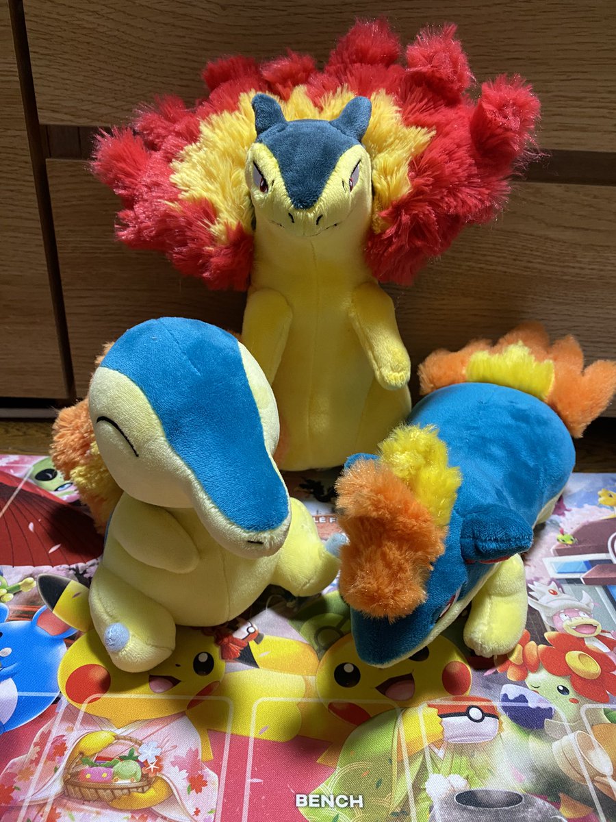 三英貿易のバクフーンぬいぐるみ購入！先に発売したヒノアラシ