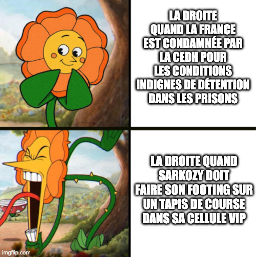 Nain Portekoi 🇨🇵 (@nain_portekoi) on Twitter photo 