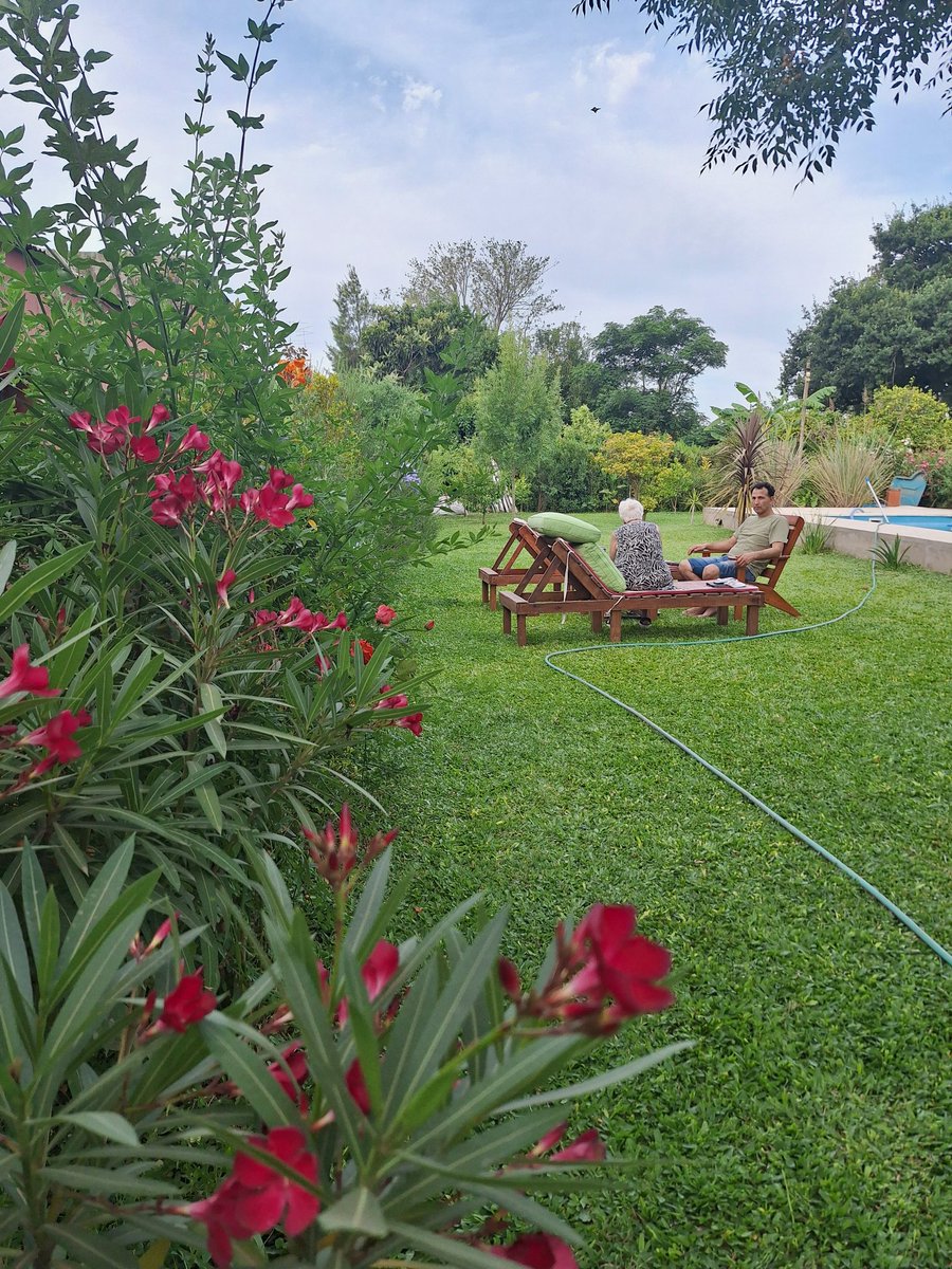 PauHesse's tweet photo. #arribadomingo desde el pueblo El Paraiso, partido de Ramallo . 
Nuestro lugar para desconectar de la ciudad.  
Disfrutando del microclima este Domingo https://t.co/Gg9OxnOC6t