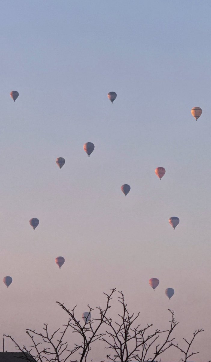 📸 |  #RojbinErden via IG Stories