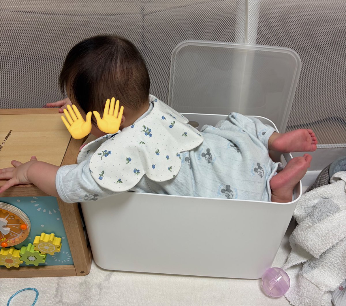 ほんまにどうしようもなかったんやろな😂🤣かわいい