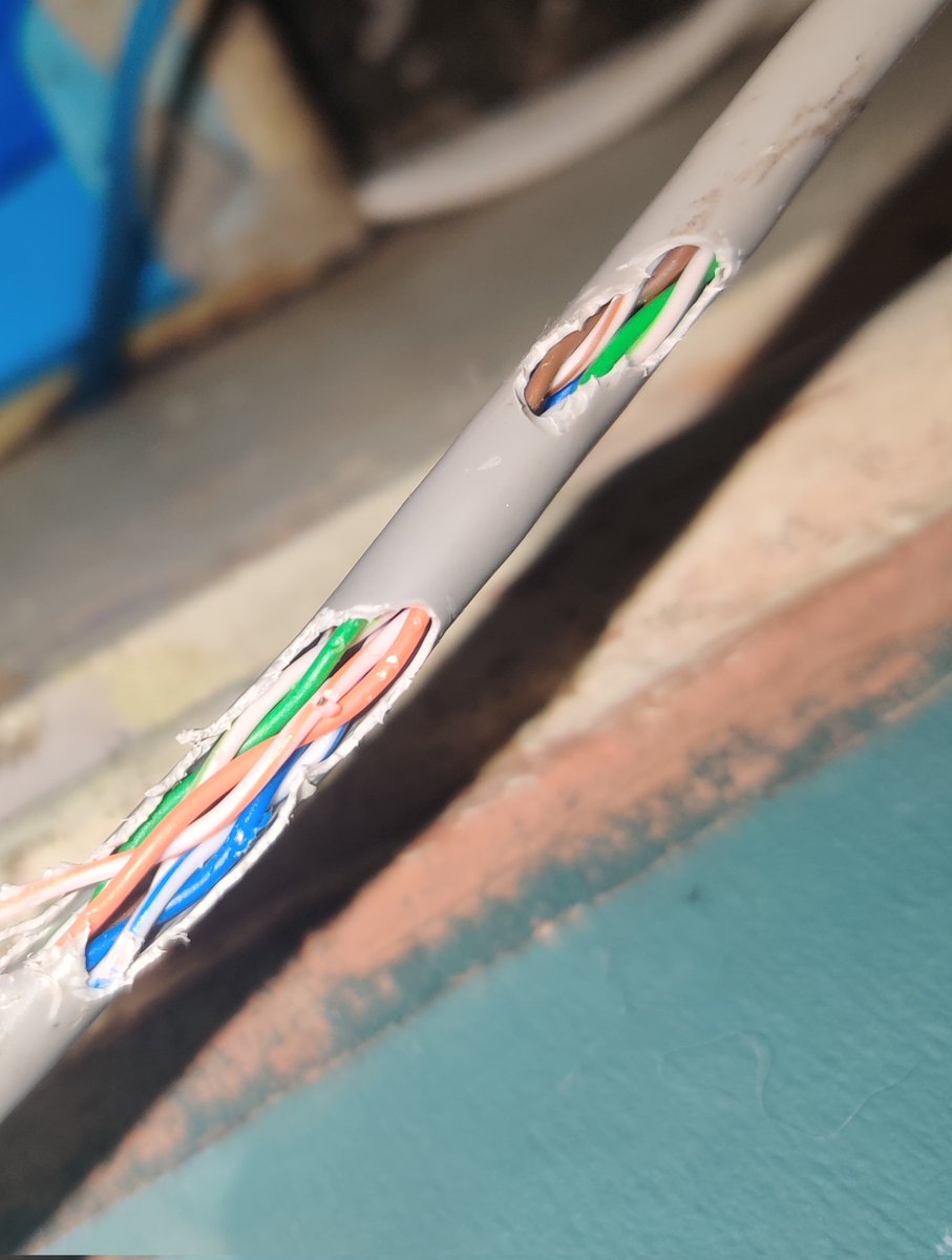 FabtonVT's tweet image. Universe doing everything in its power to stop me streaming, now my ethernet cable been chewed open and doesn't work. 

The slow growth as a tiny vtuber gonna be waiting another day till a replacement arrives.