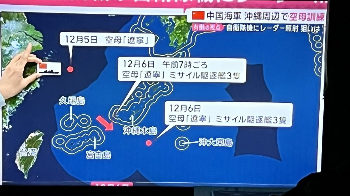 のらいぬ tweet media