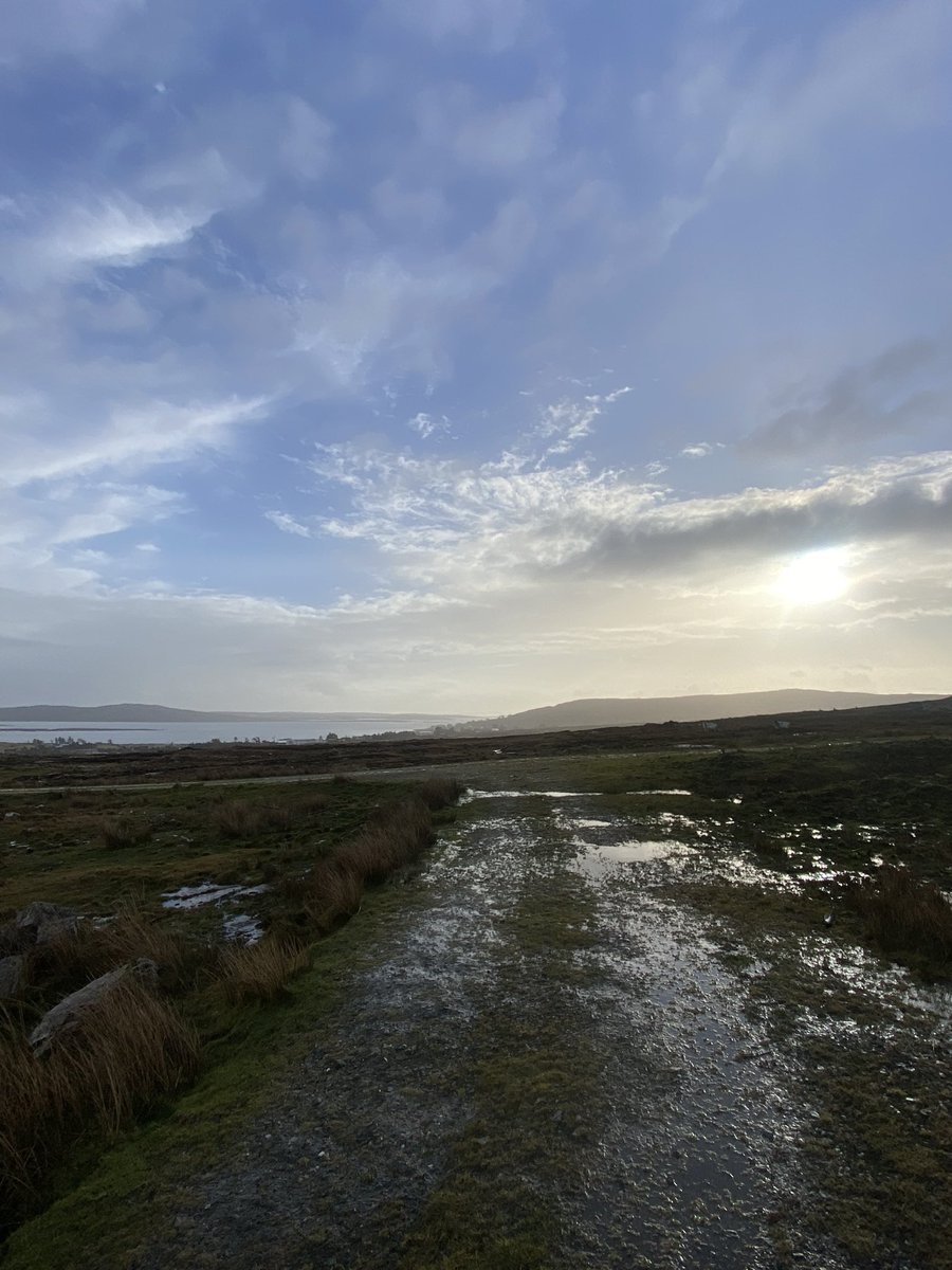 Colm Ó Neasa tweet media