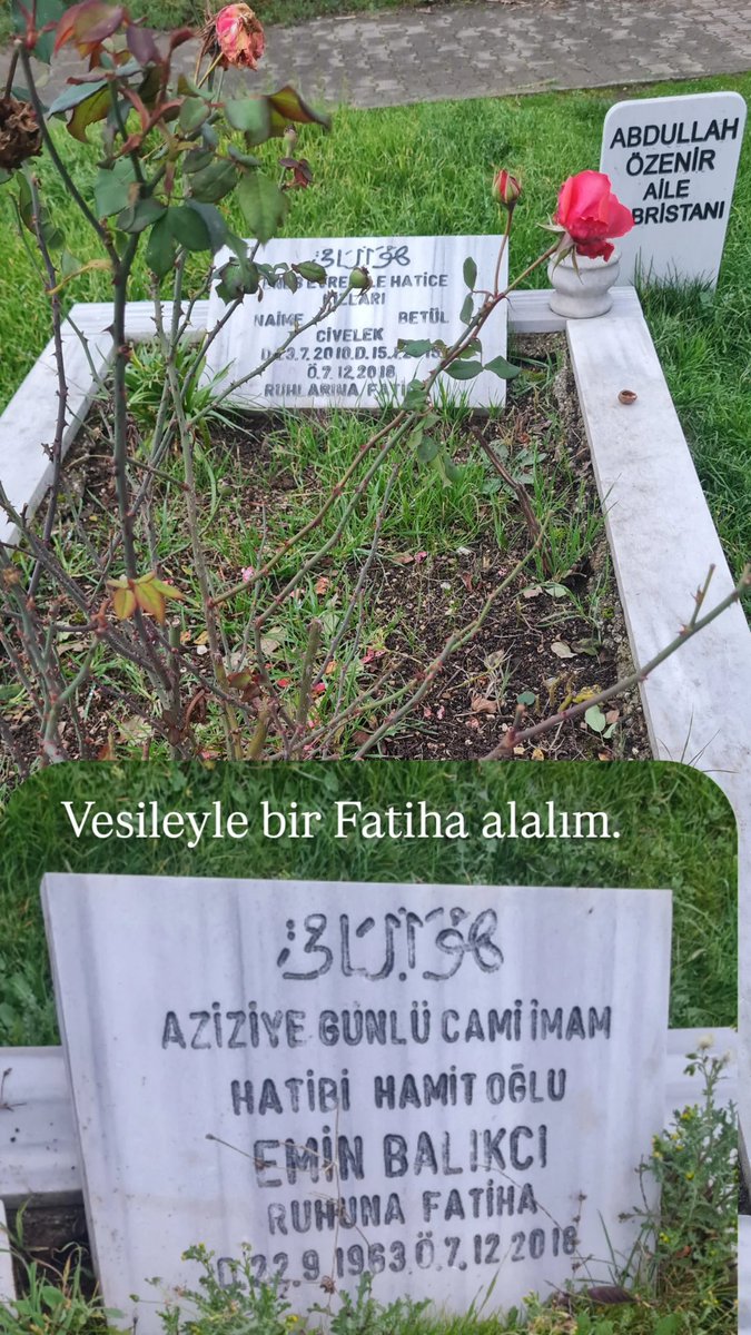 HATİCE BALIKÇI tweet media