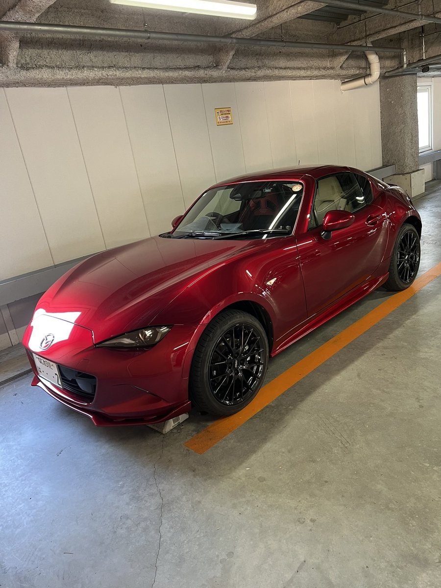 ☀️光加減でロングローズに見える