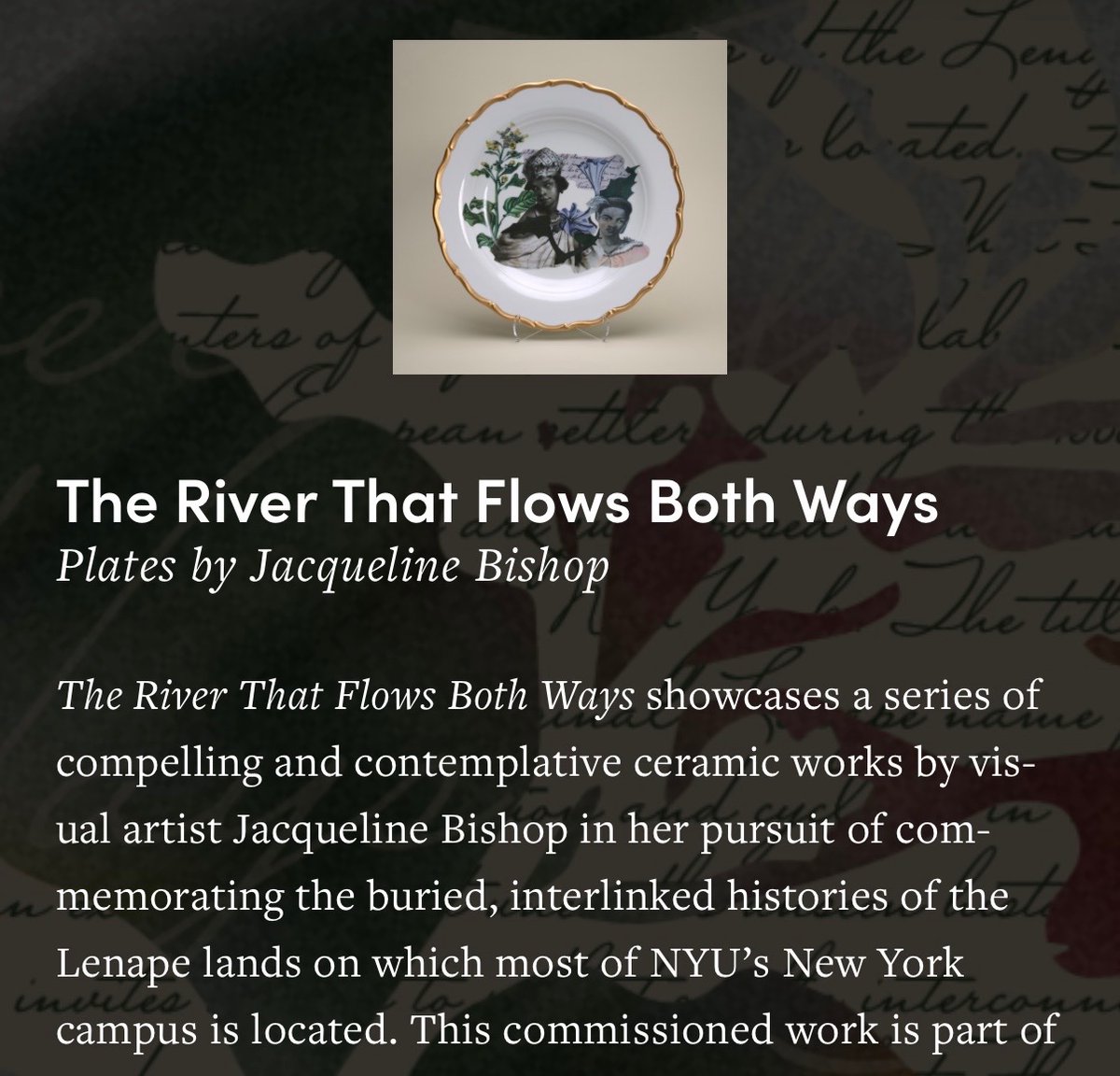 Jacqueline Bishop tweet media