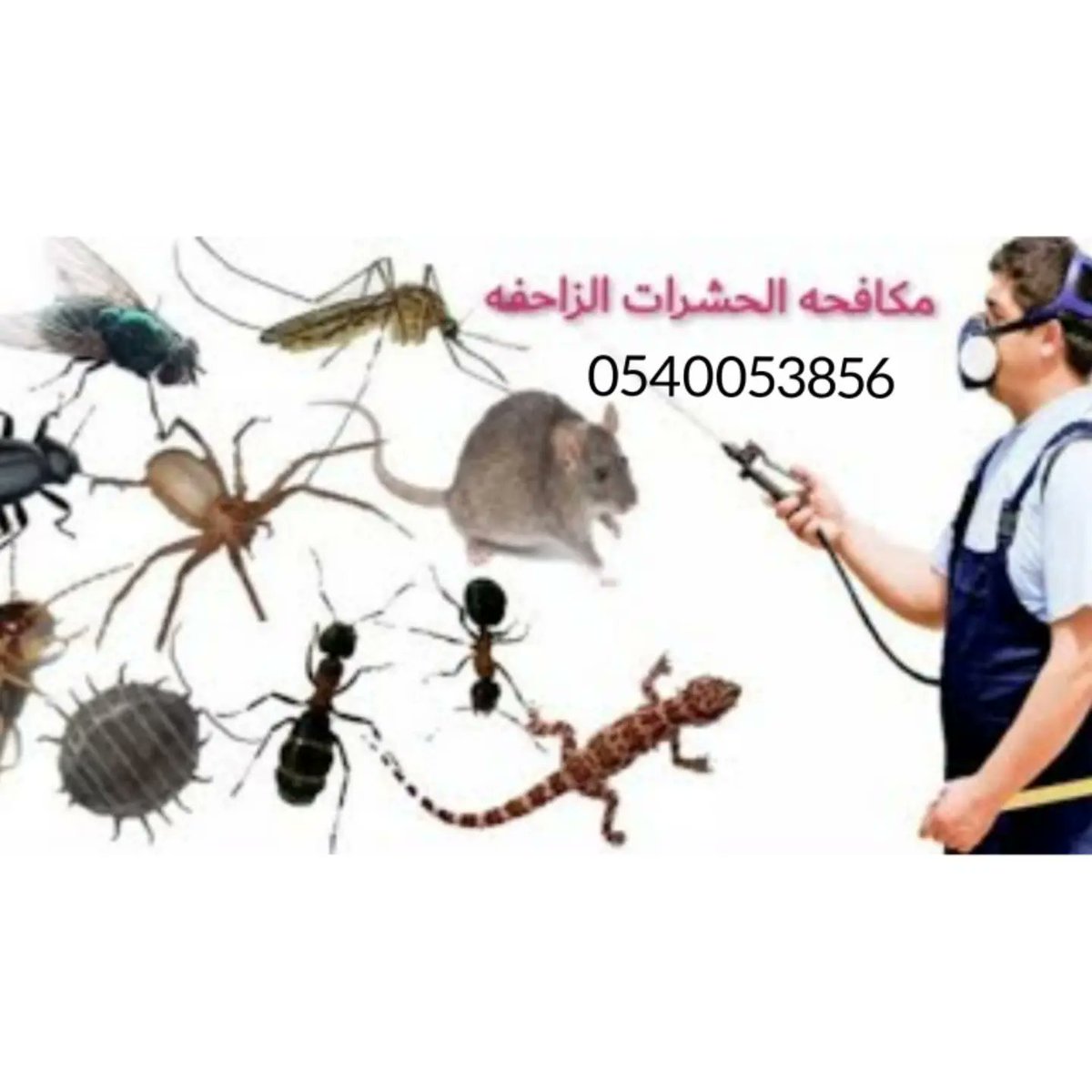 شركة مكافحة حشرات بالرياض
رش مبيدات المانيه للقضاء على الصراصير الفئران البق الجراد البعوض البرص الحمام النامس النمل الدمام  القصيم جده
غسيل خزانات
تسليك مجاري
نقل عفش اثاث
لمكافحه الحشرات لرش المبيدات لرش المبيد الدفان النمل الابيض
حي عرقه الصفرات غرناطة الياسمين العقيق قرطبة