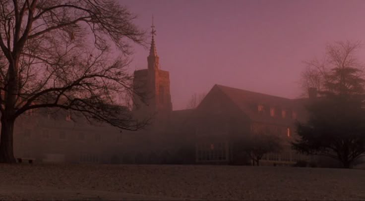 poetsbutdead's tweet image. dead poets society is so pretty it hurts