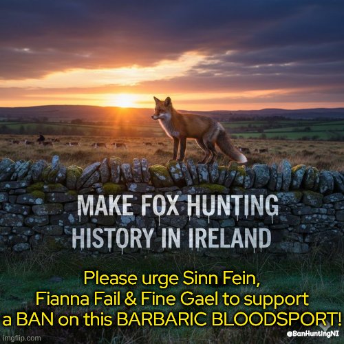 BanHuntingNI's tweet photo. @banbloodsports #FoxHunting #Ireland #AnimalCruelty #Foxes #BanFoxHunting #TeamFoxNI https://t.co/SjpOE2C1nw