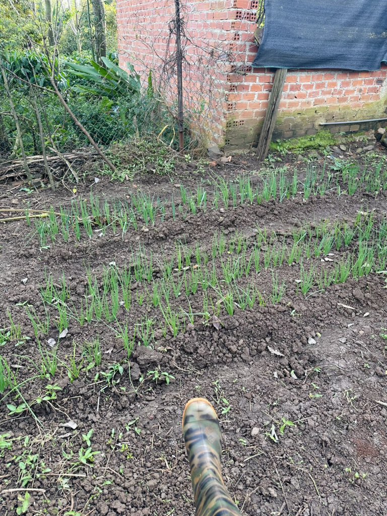 Nhà đam mê hành = ))