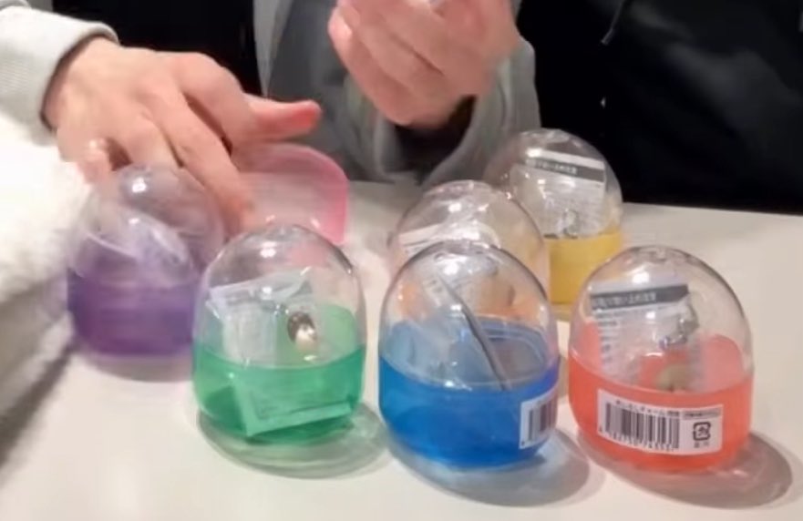 E3%82%81%E3%81%98%E3%82%8B%E3%81%97%E3%83%81%E3%83%A3%E3%83%BC%E3