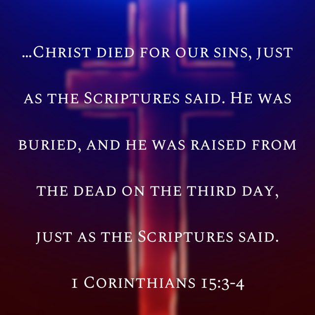 Branch & Vine Capital (@arc_xrp) on Twitter photo 