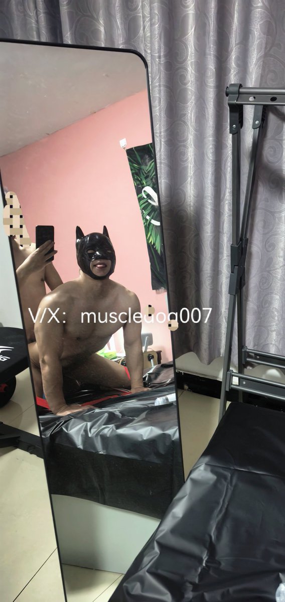 Muscledog tweet media