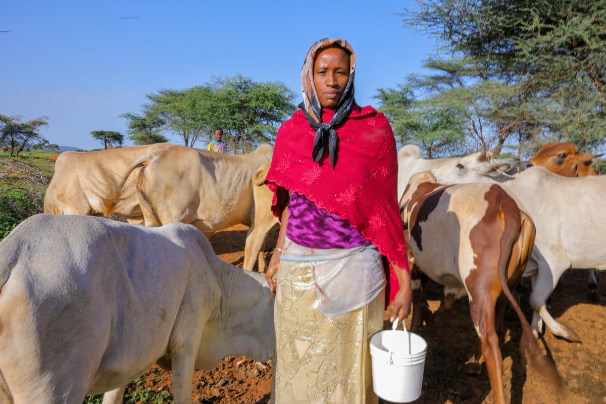 We expanded information access through translation of IEC materials on #PSEA in five main local languages, ensuring communities know their rights &amp; reporting options. 

#SurvivorCentered 
#16DaysofActivism 
#SurvivorCentered
#SafeWorkplaces
#GenderJustice
#EthiopiaPSEANetwork