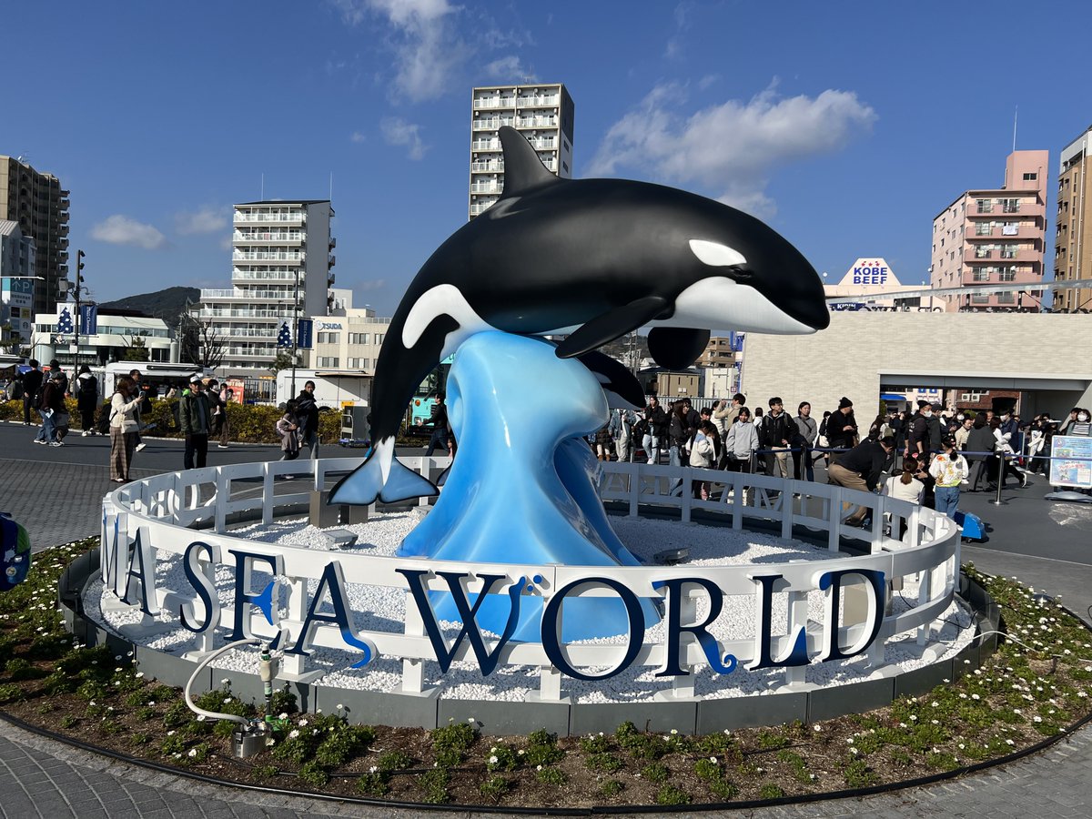 ふじたく🐻 (@zx10r_tkm1101) / Posts / X