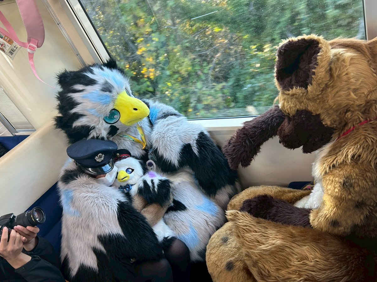 kounomiei's tweet image. 土曜日は #獣快速 4号に参加してました。
前回は弟者と参加して弟者のキャラの初お披露目して今回は妹も一緒に3兄妹弟で参加してました。
諸事情で妹者は着ぐるみ参加できなかったけど楽しかったとの感想をもらってこちらも嬉しくなった帰路。
次回は3人でキャラ参加したい( ˇωˇ )
@imoja211