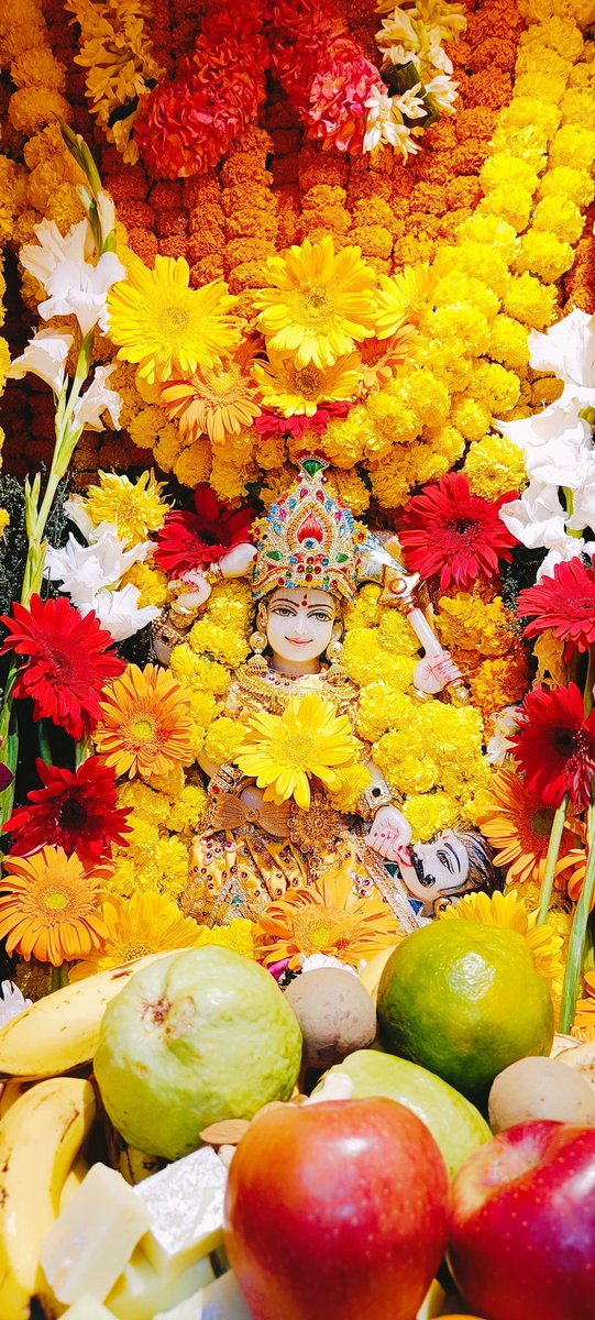 🙏 जय माई की 🙏