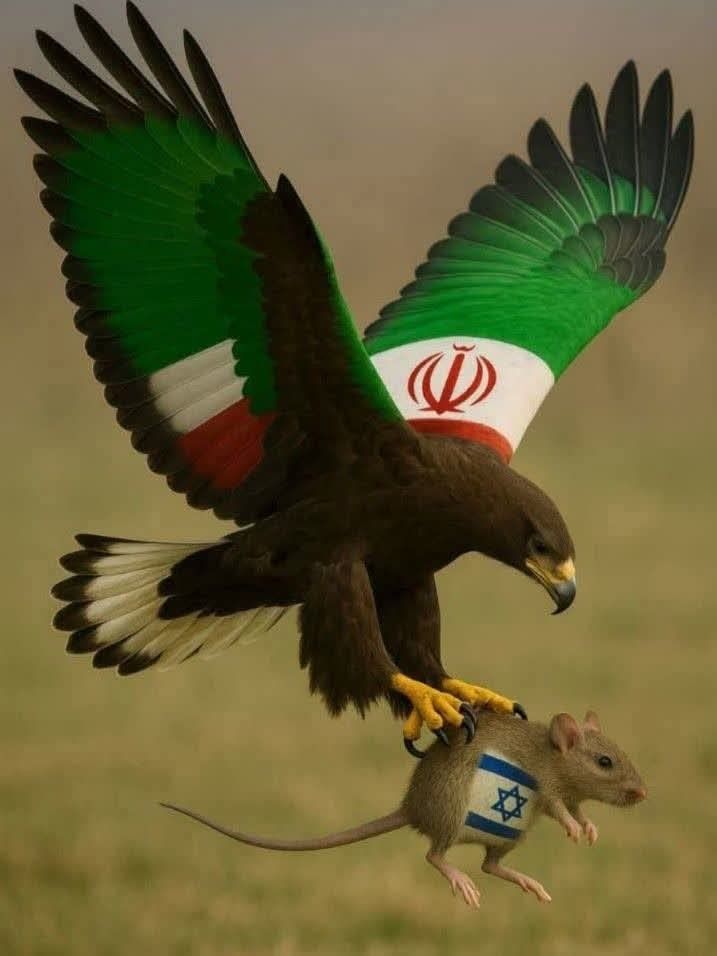 «إنَّ قُوّة الحقّ تبقى أعلى من كلّ ظلم…
ومهما هربَ الظُّلام، يبقى النورُ هو المنتصر في النهاية.»
🦅✨
#فلسطین #الحق #المقاومة #لا_للاحتلال