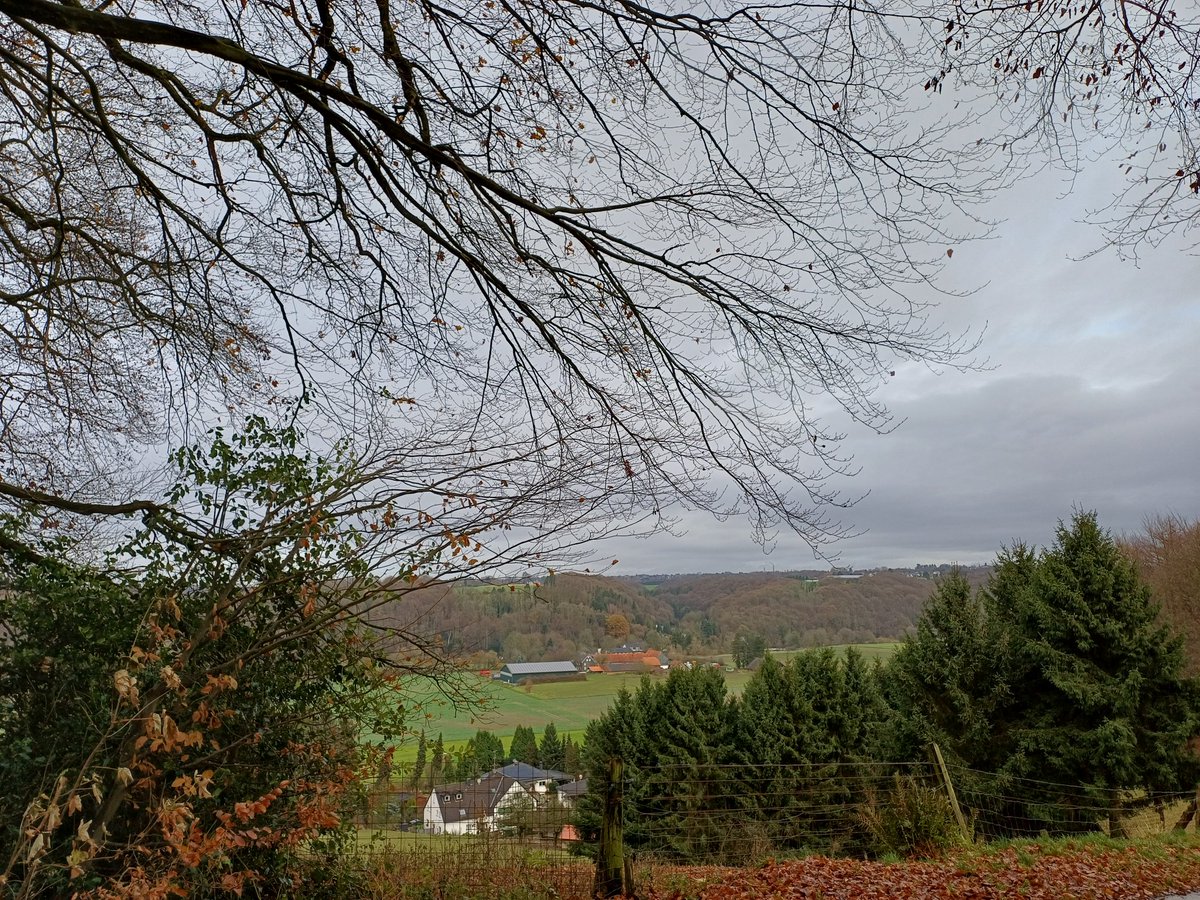 finanzielle Gelassenheit 🇺🇦 (@finanzgelassen) on Twitter photo 