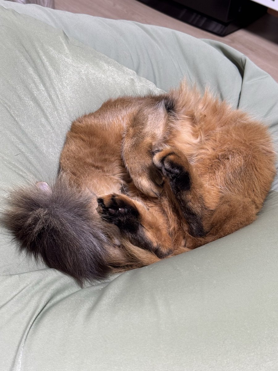 さっちゃん (@toshiakisan1127) / Posts / X