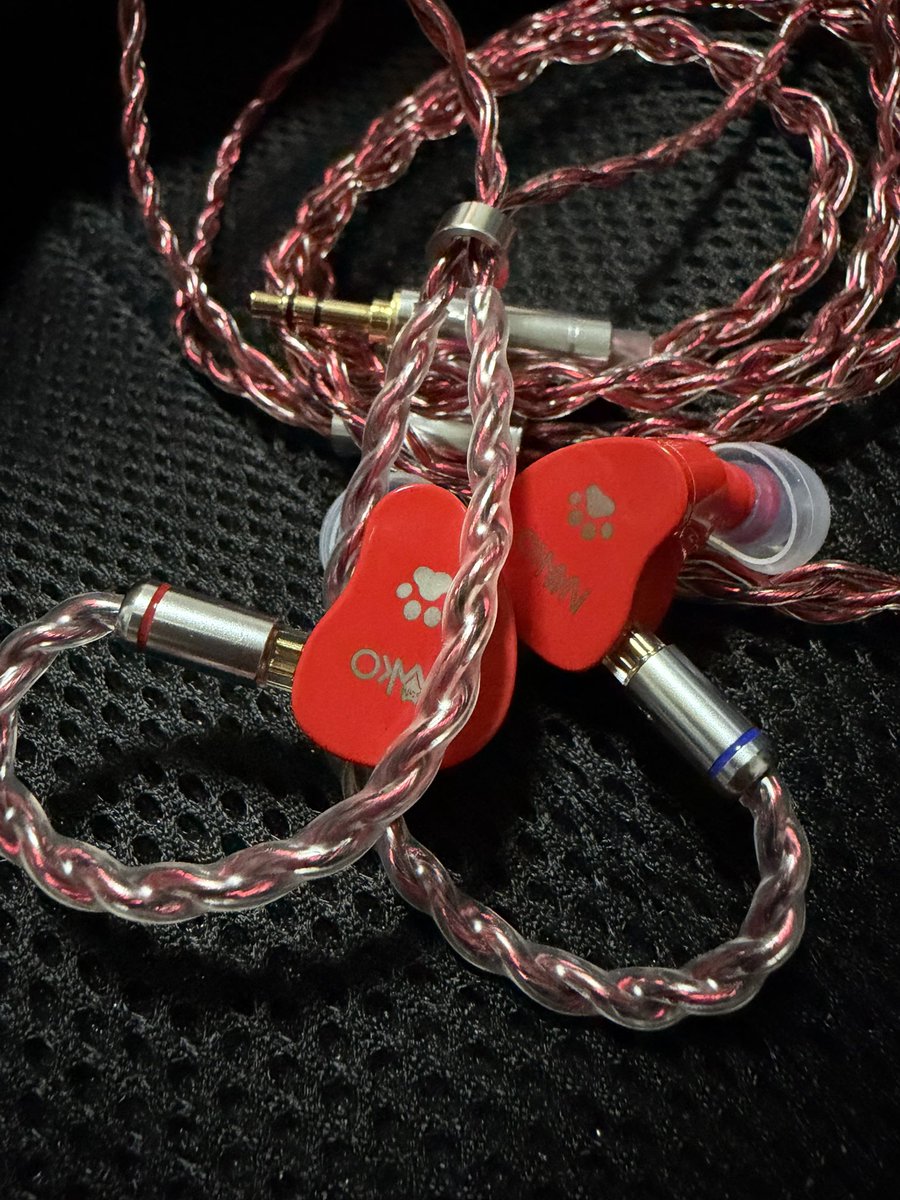 ゆこの⭐︎アルファベットネコ 猫のアルファベット｜ノリノリ