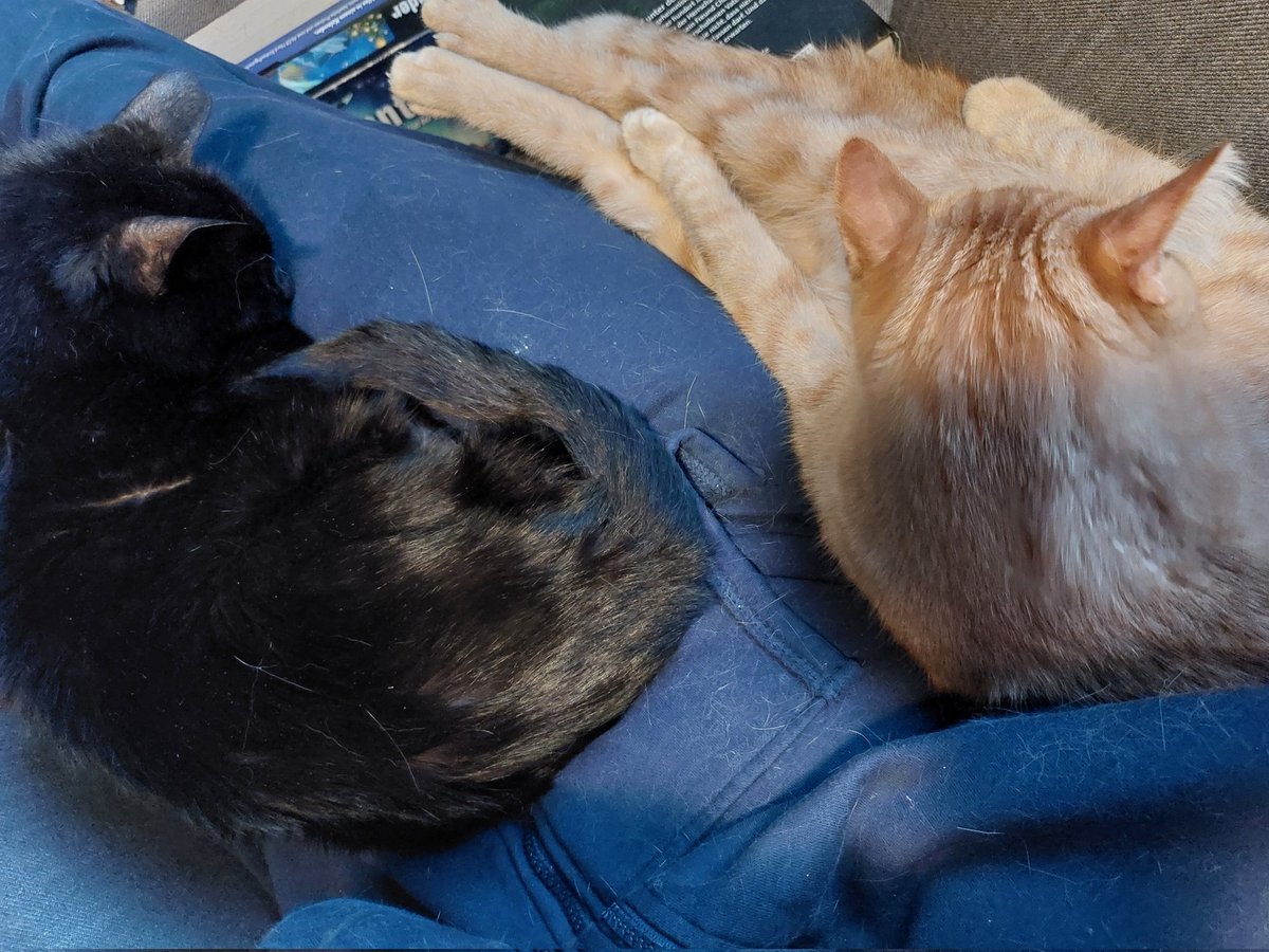 Wer macht mir denn jetzt was zu essen?