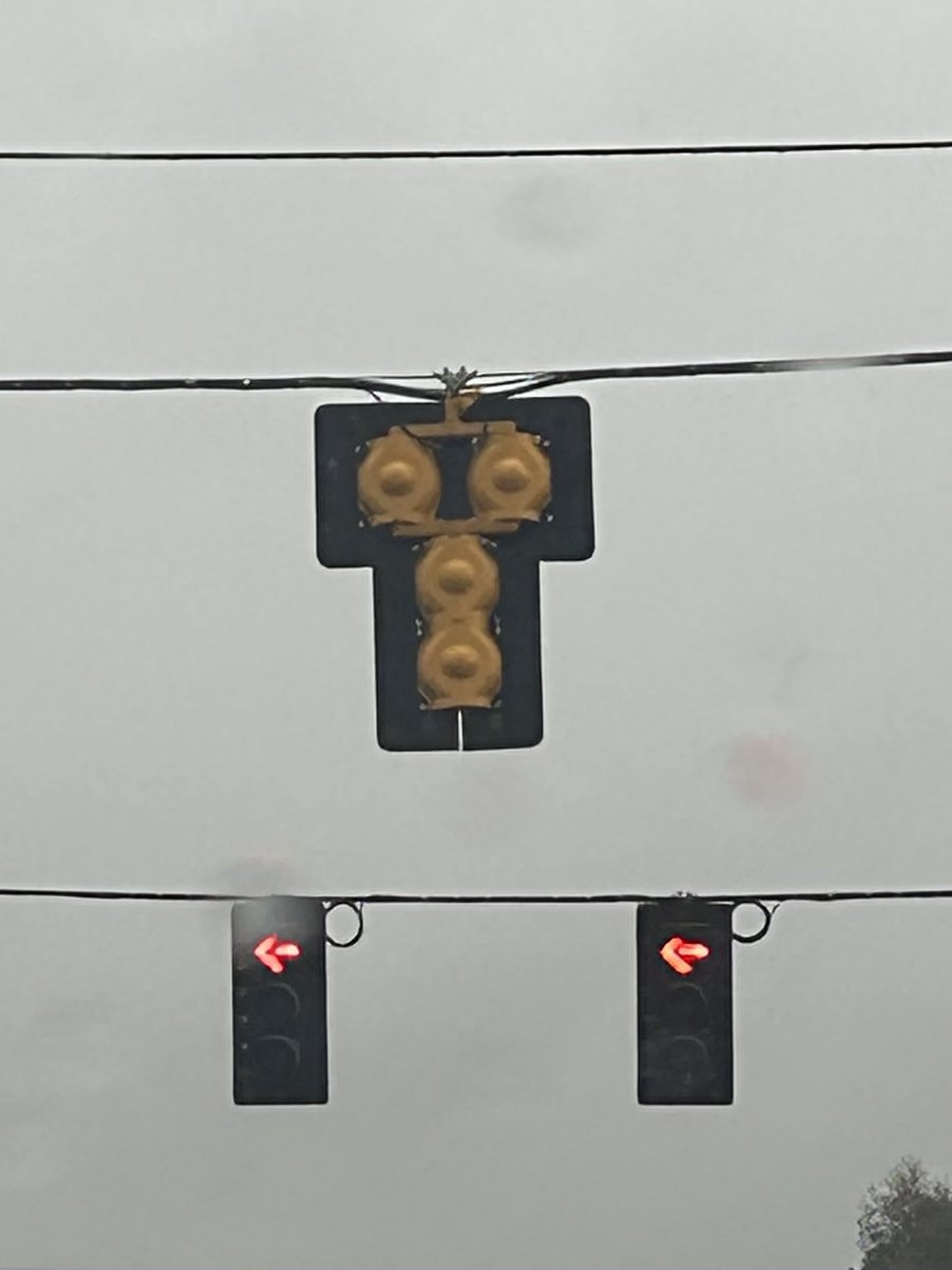 Gal22Sunshine's tweet image. #MonkeySeeMonkeyDo