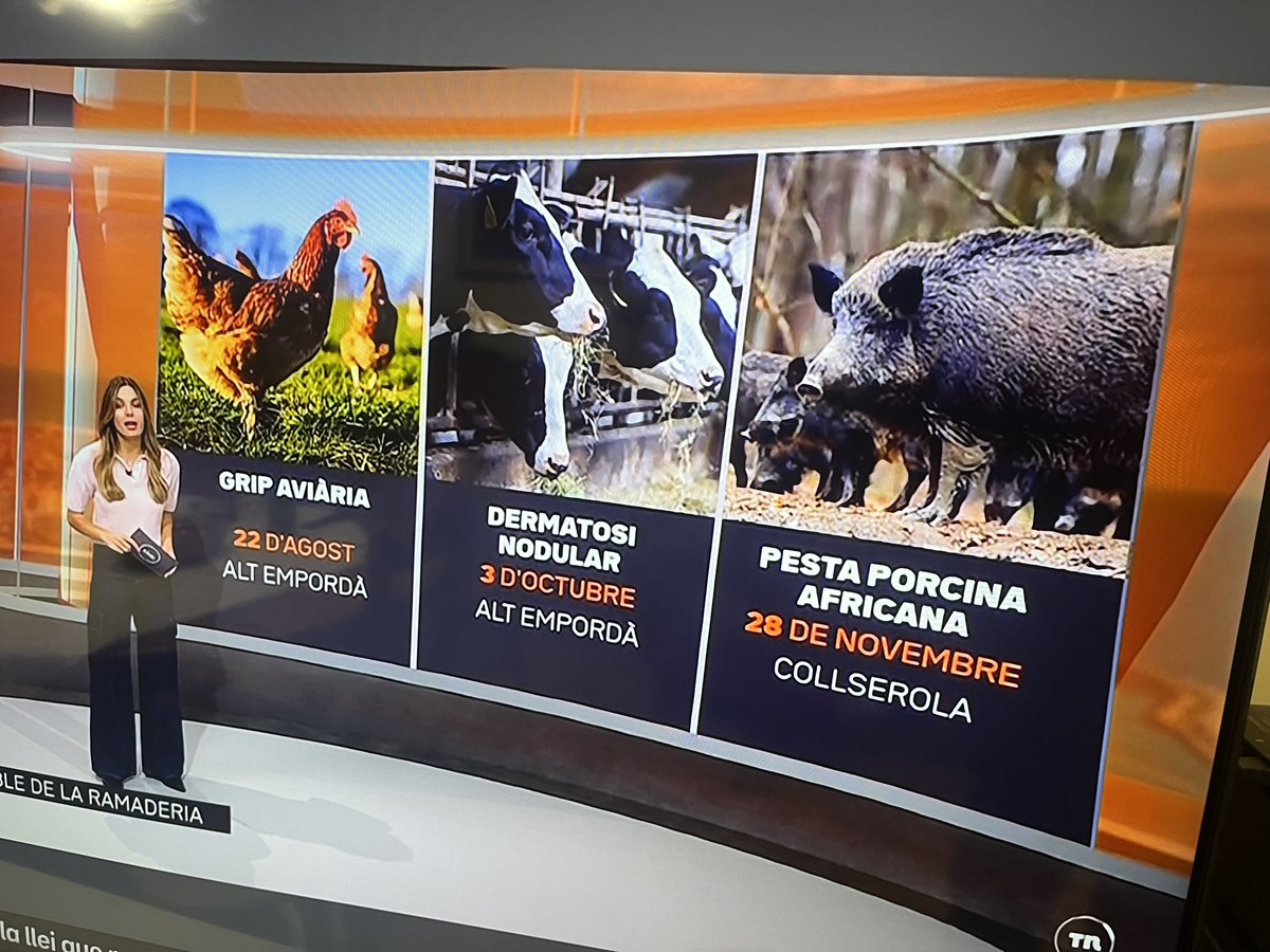 joan real tweet media