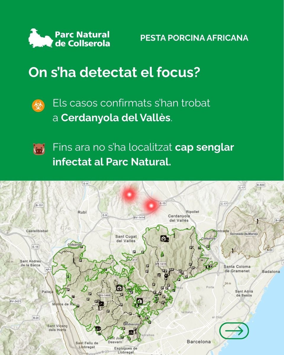 joan real tweet media