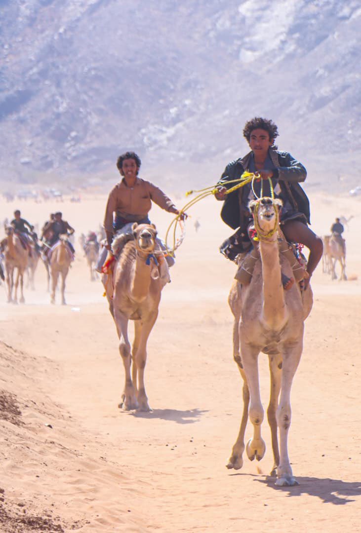 مبادرة جميلة من دولة الإمارات لأهالي الجنوب اليمني ..

إطلاق #مهرجان_محمد_بن_زايد_بشبوة أكبر مهرجان تراثي في المنطقة اليمنية والتي جعلت أهل شبوة الكرام يرفعون أعلام الإمارات 🇦🇪 ويرتدونها بمحبة ووفاء صادق 

- مهرجان مميز يفتح باب الفرح لأهالي الجنوب ويعيد أجواء الأصالة والهوية